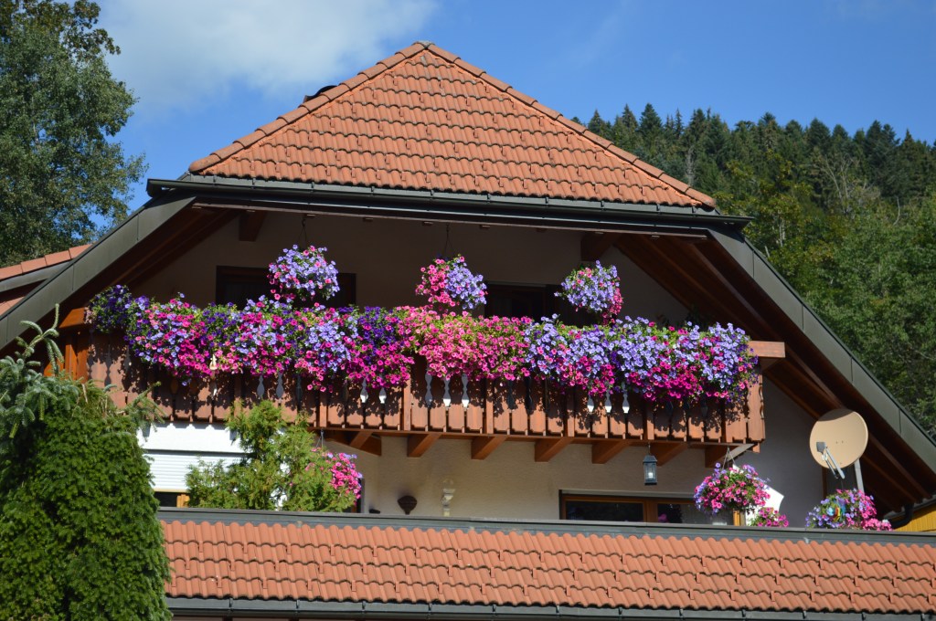 flower box house